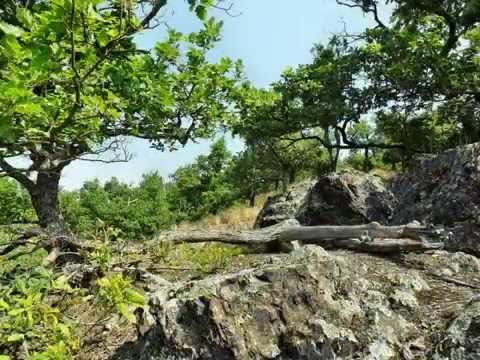 Natuurpark Hřebeny