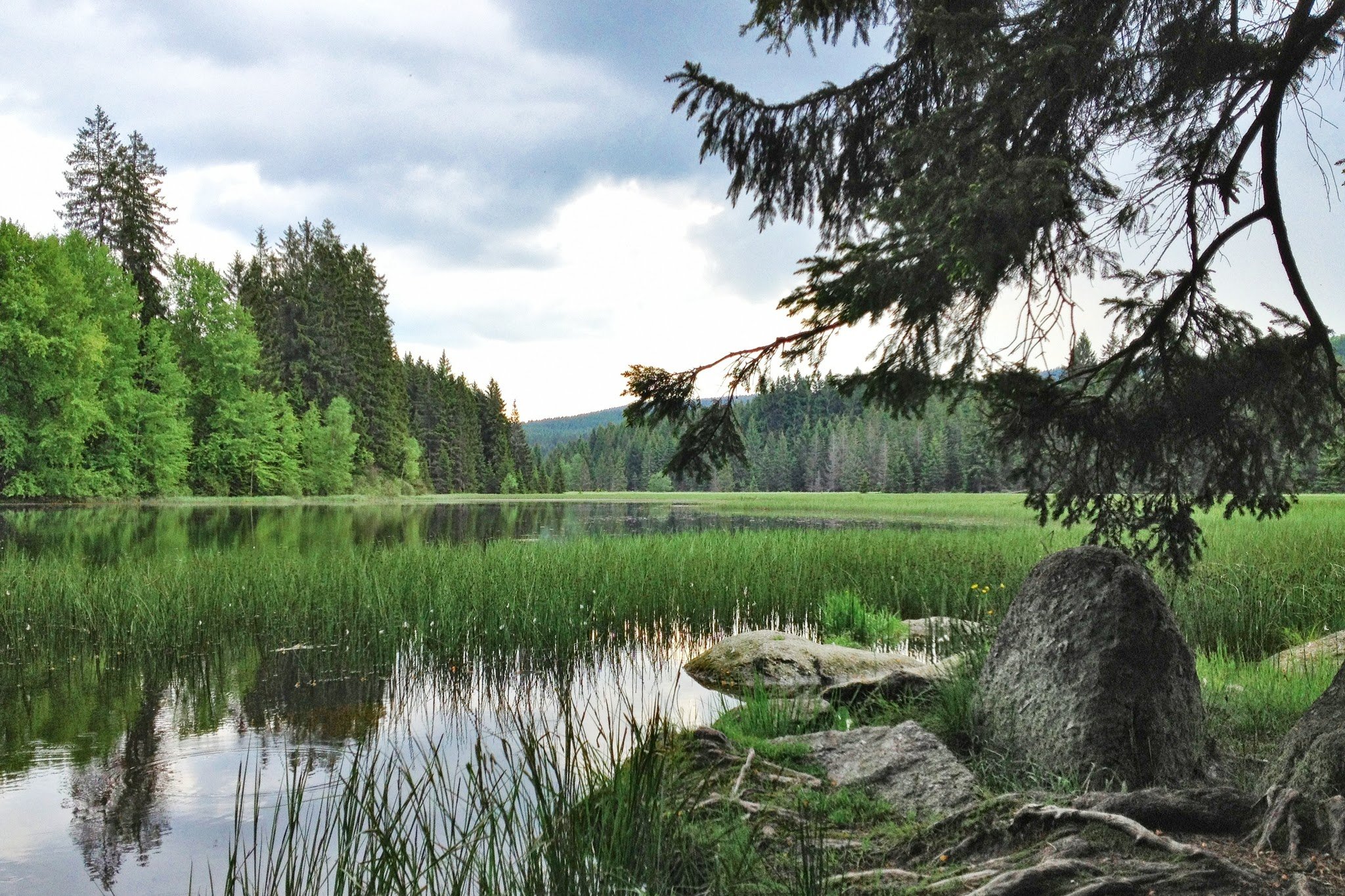 Novohradská Horyn luonnonpuisto