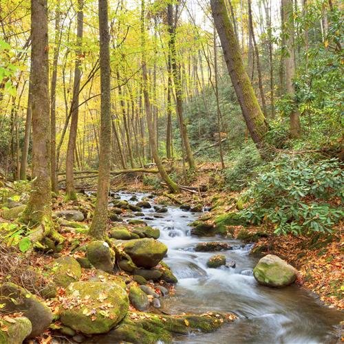 Naturparken Povodí Kačáku