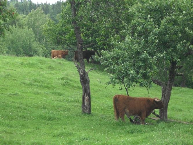 Parco naturale Soběnovská vrchovina