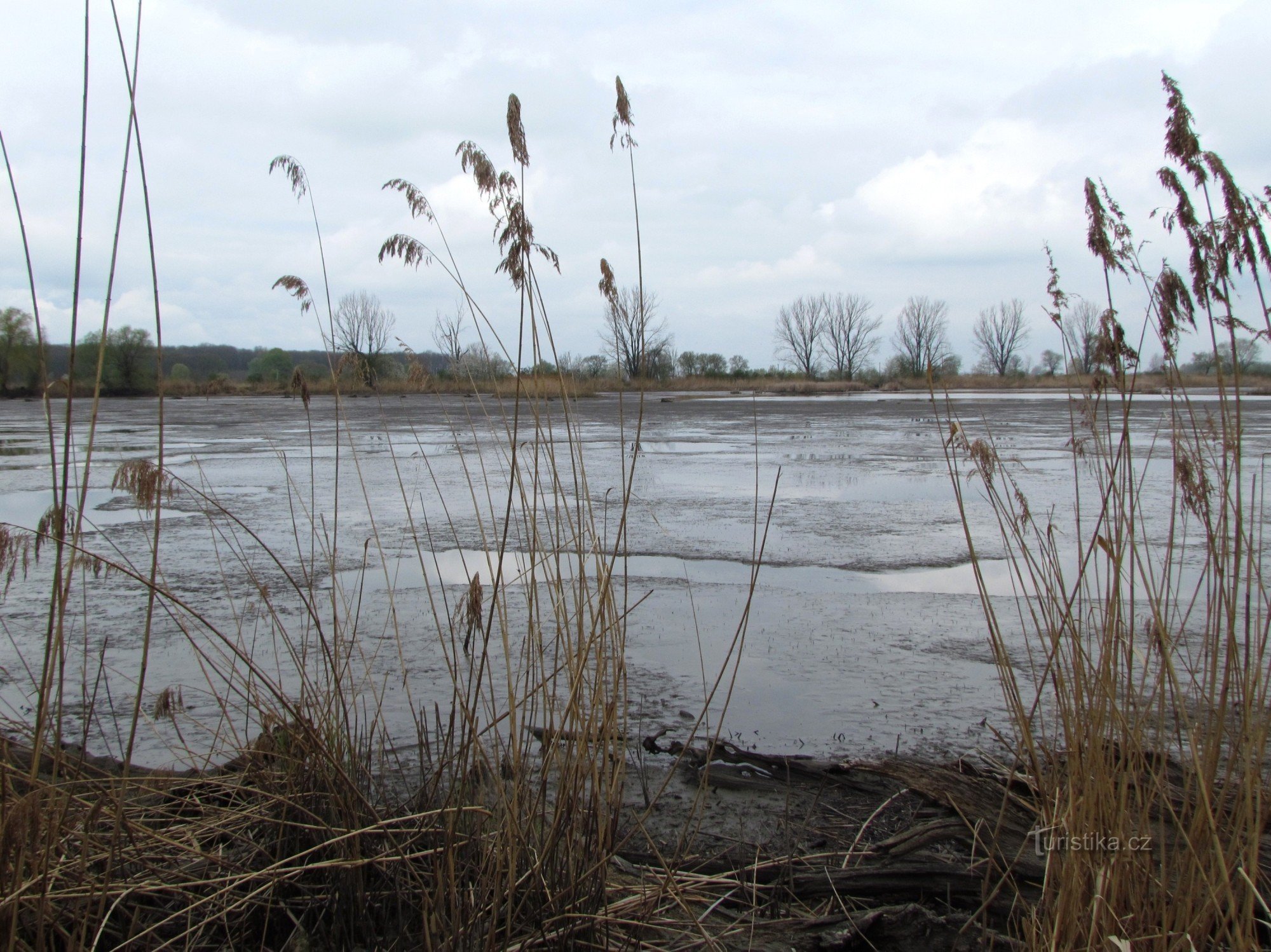 Parco naturale Záhlinické rybníky