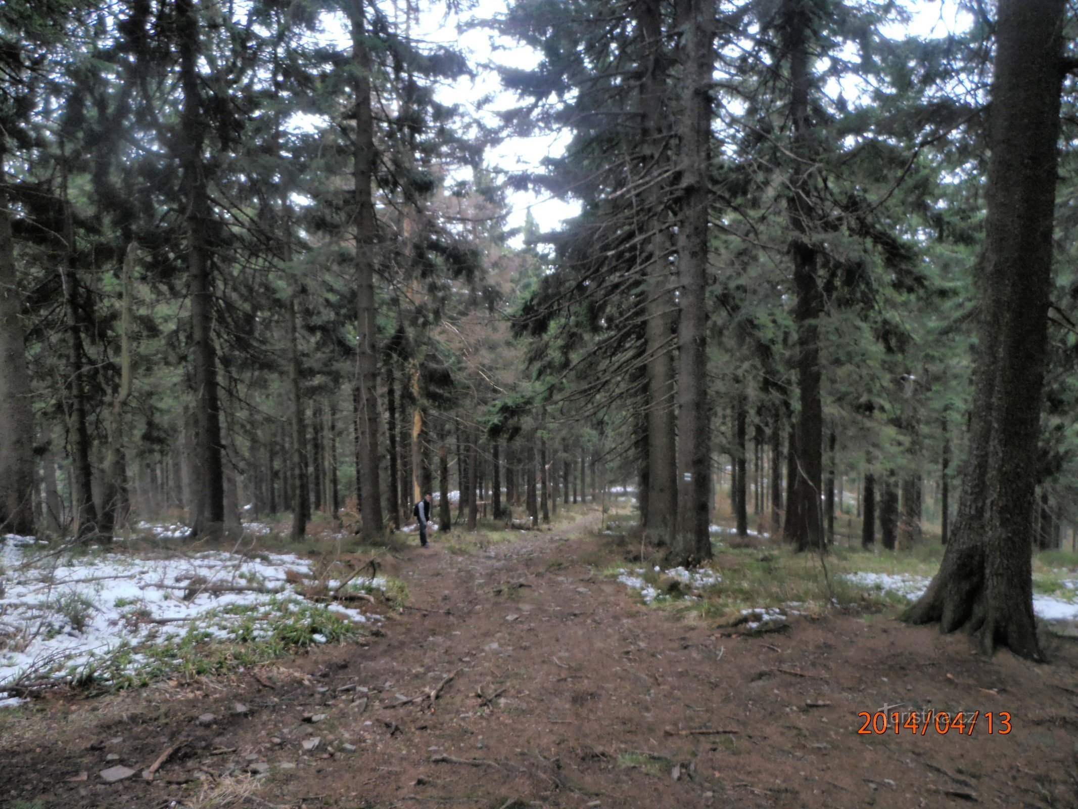 rezervație naturală