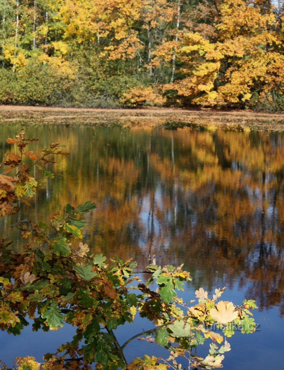 Réserve naturelle d'Amérique