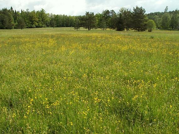 Rezervația naturală Andělské schody