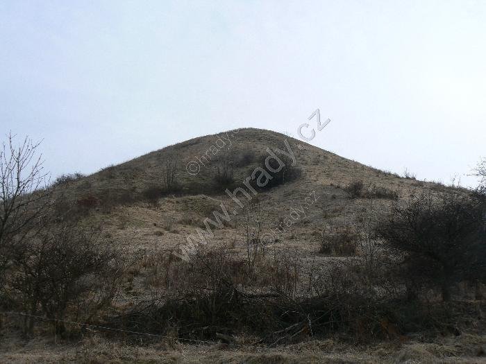 přírodní rezervace Číčov