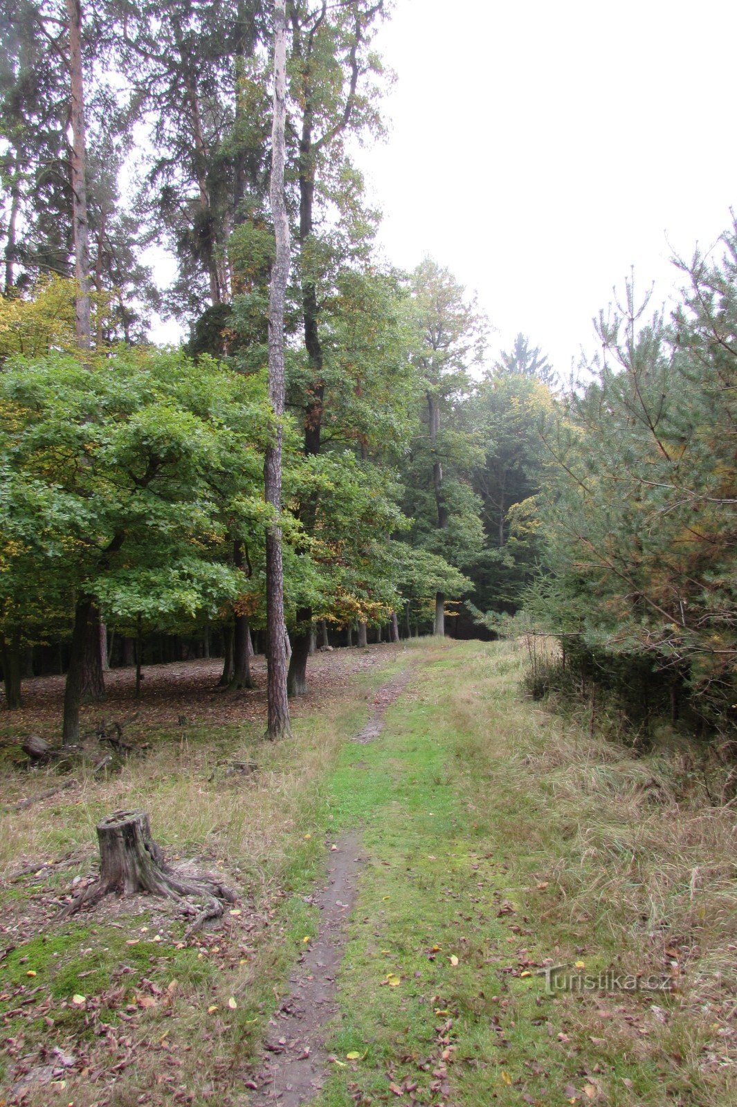 Naturschutzgebiet Háj