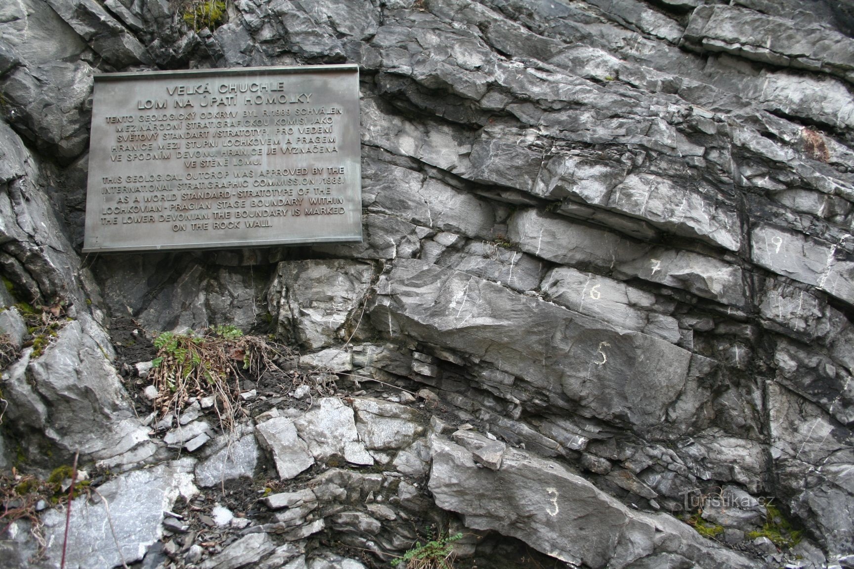 Rezervația naturală Homolka