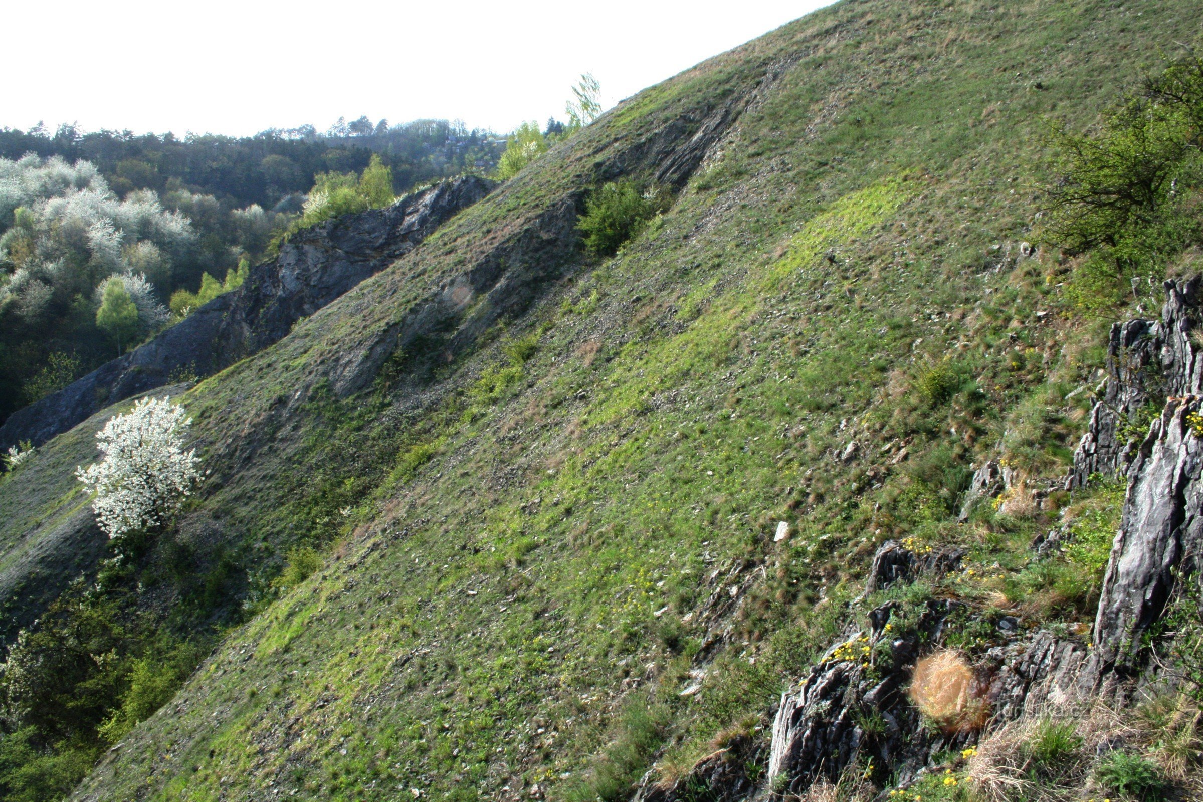 Rezervația naturală Homolka
