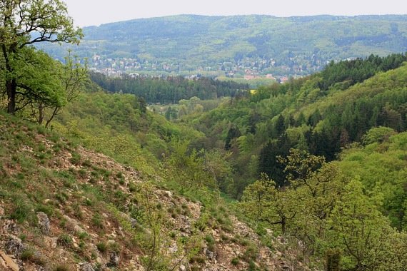 Naravni rezervat Karlická údolí