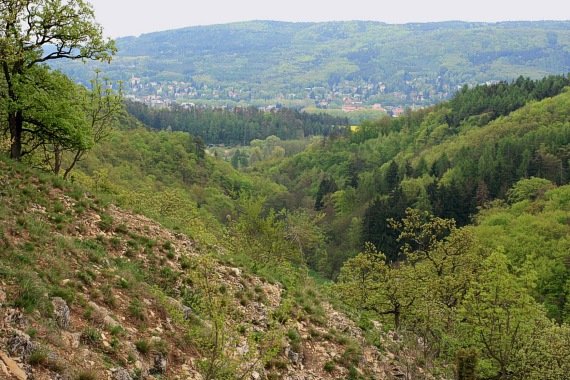 Přírodní rezervace Karlické údolí