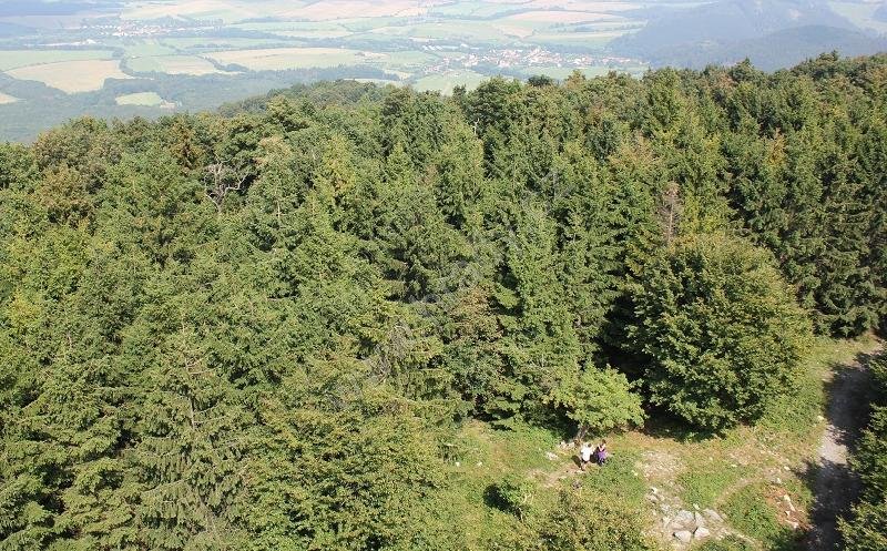 přírodní rezervace Kelčský Javorník