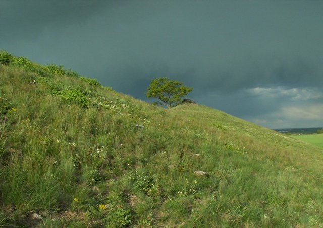 Naturreservat Kopeč