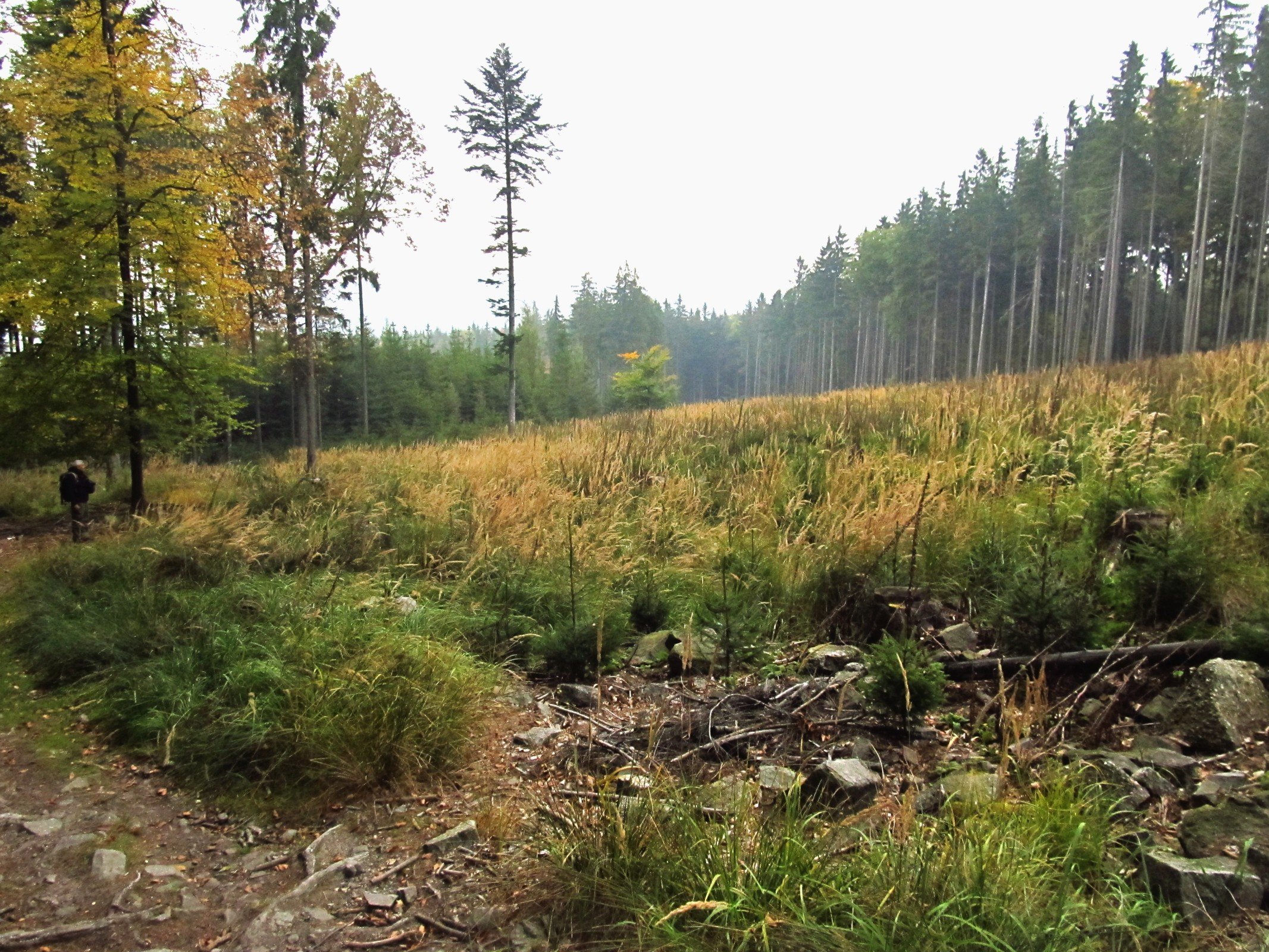 Naturschutzgebiet Kuchynka