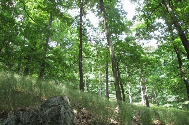 Nature reserve Kuřidlo