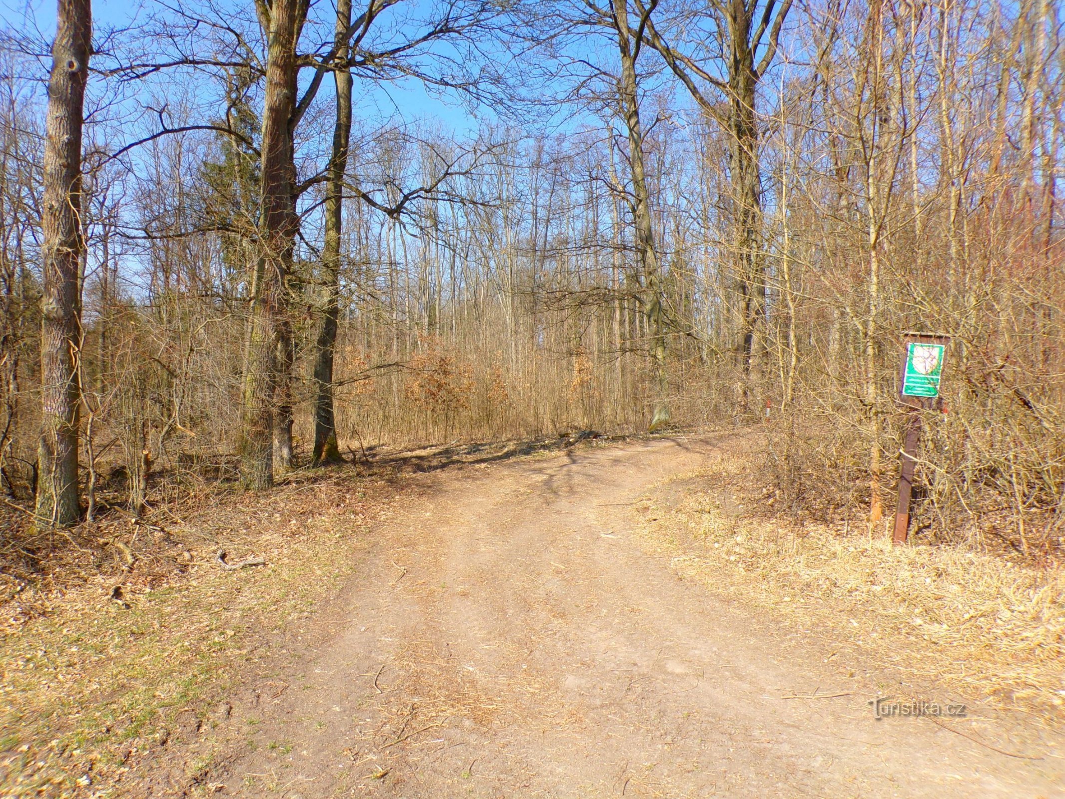 Miletín Pheasant Nature Reserve (Miletín, 25.3.2022/XNUMX/XNUMX)