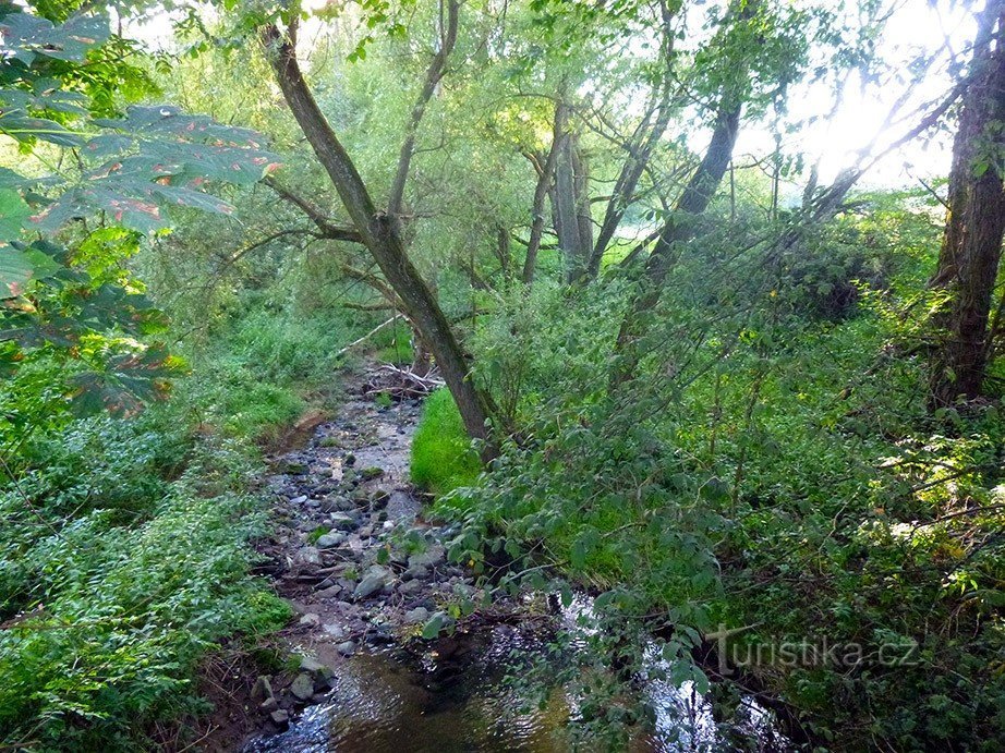 Rezervația naturală Mokřadlo