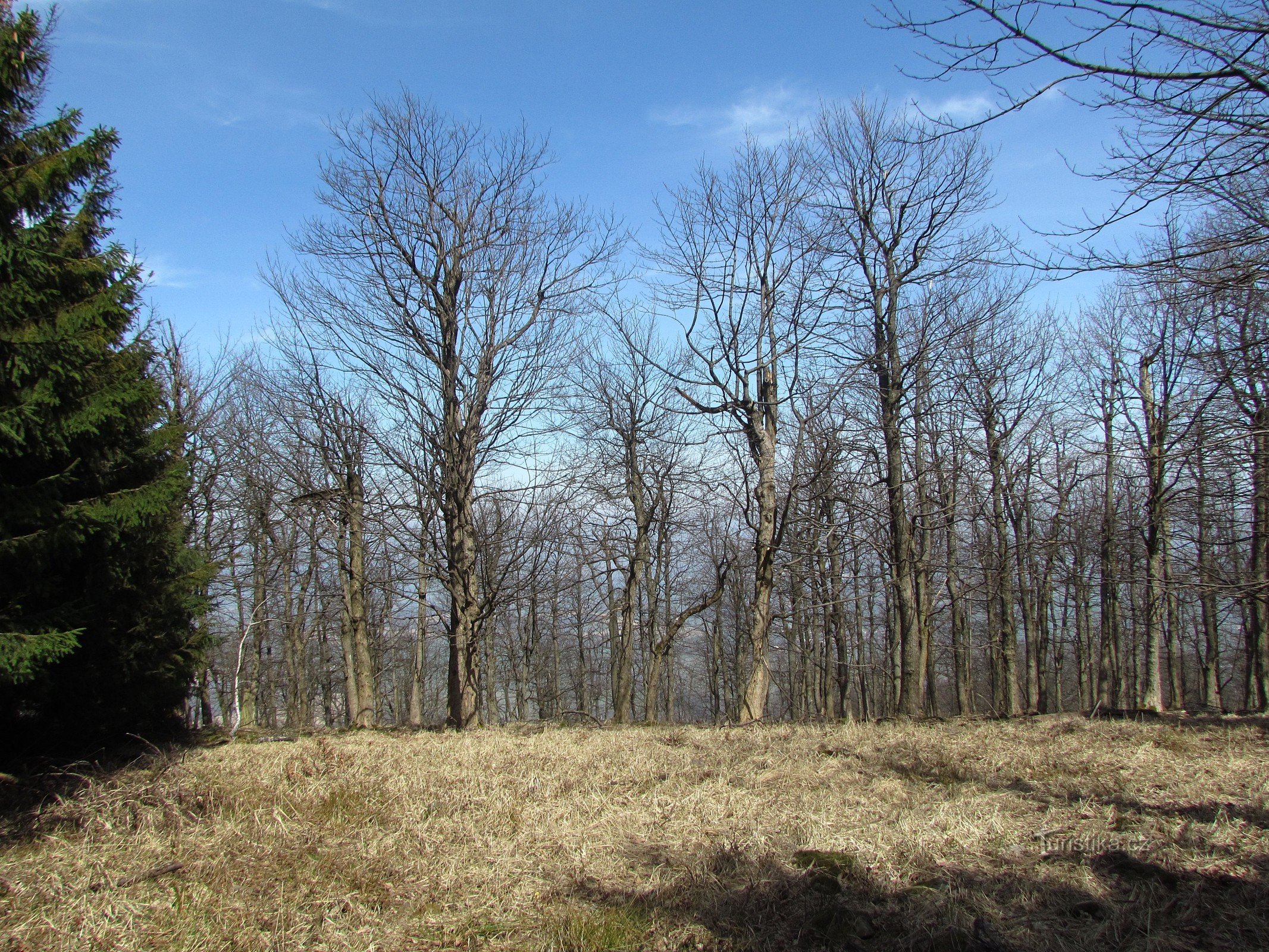 natuurreservaat in Kelčské Javorník