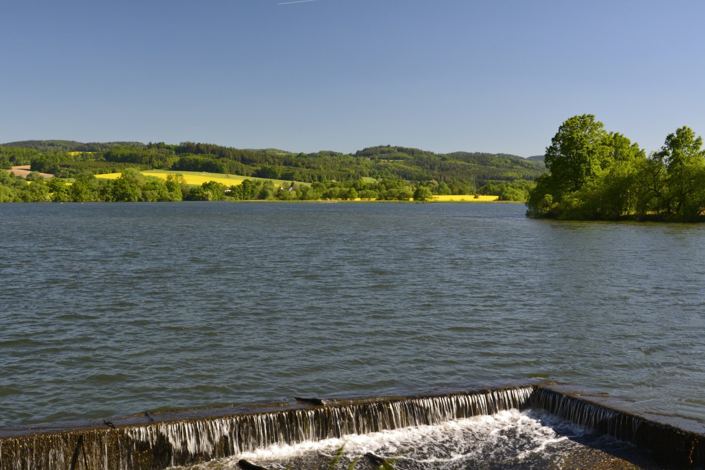 Natuurreservaat Podhrázský rybník