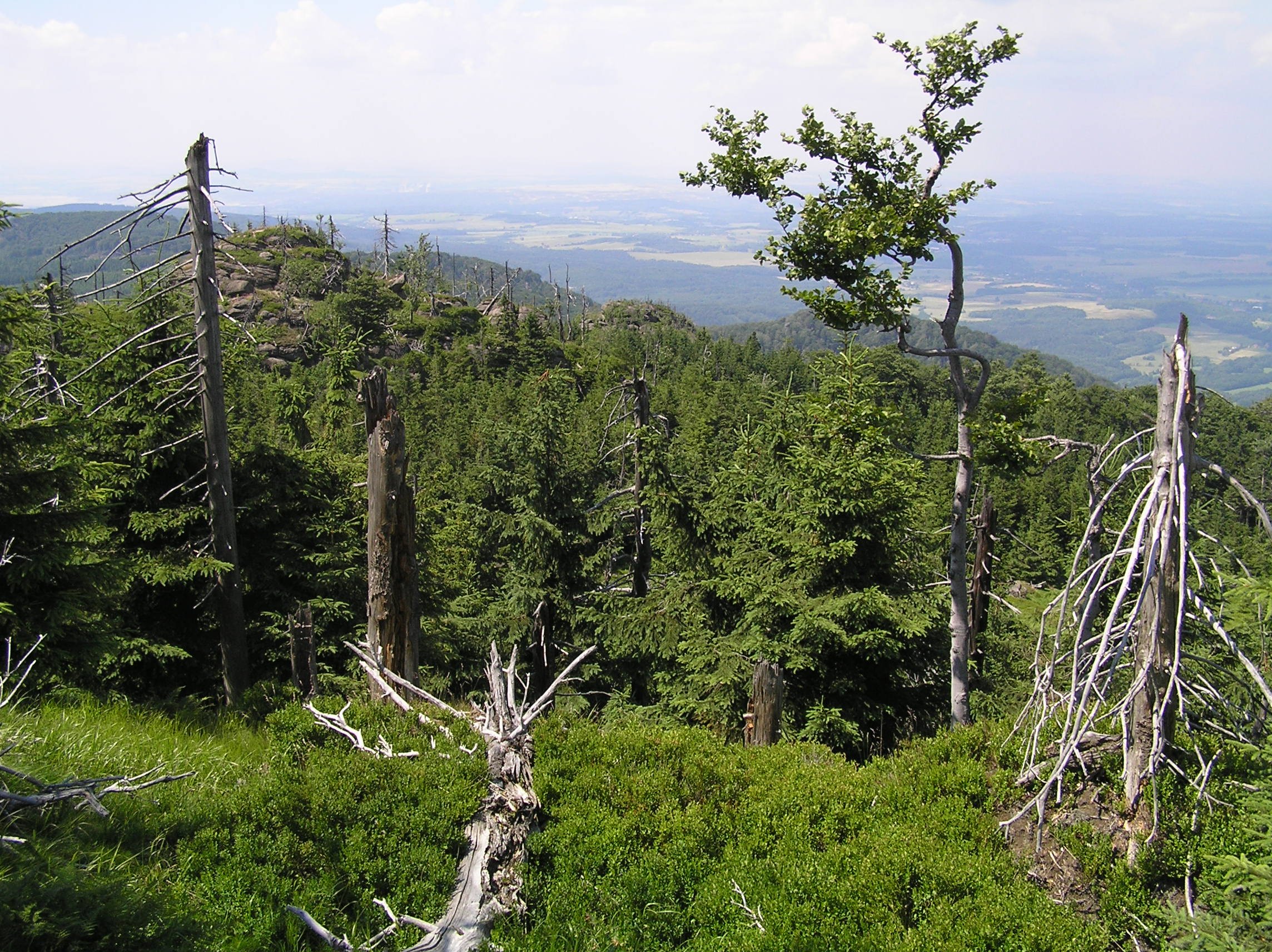 Ptačí kupy nature reserve