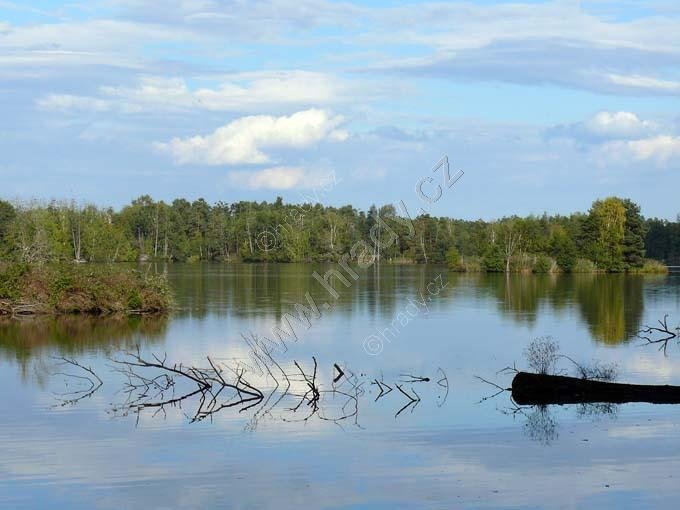 přírodní rezervace Rybníky u Vitmanova