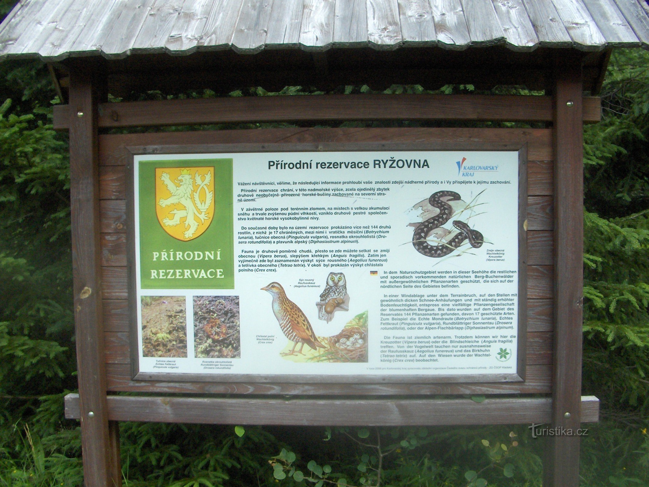 Rezerwat przyrody Ryžovna