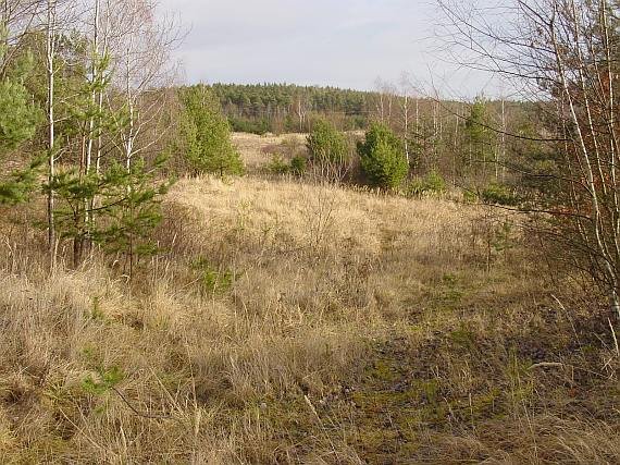 Rezervația naturală Tankodrom