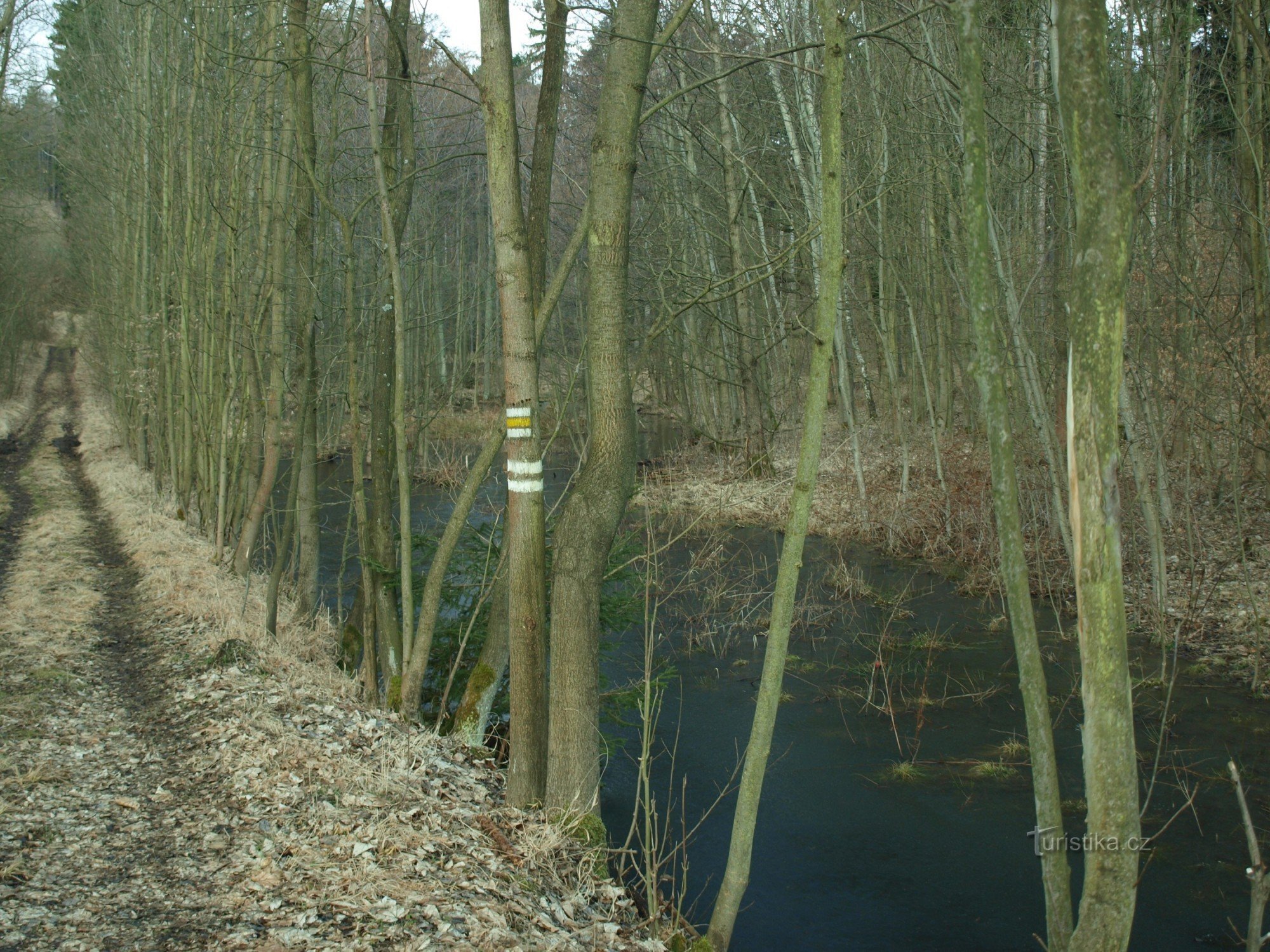 Terezská údolí nature reserve