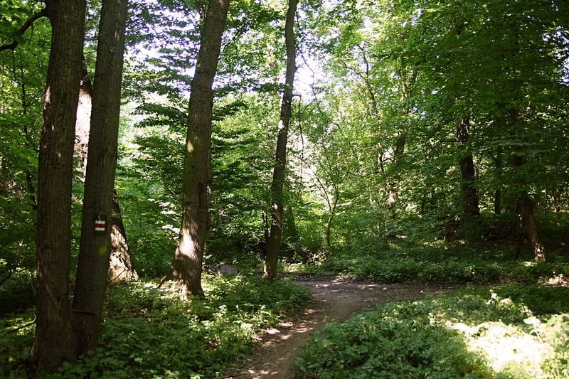 Naturreservat Veltrubský luh