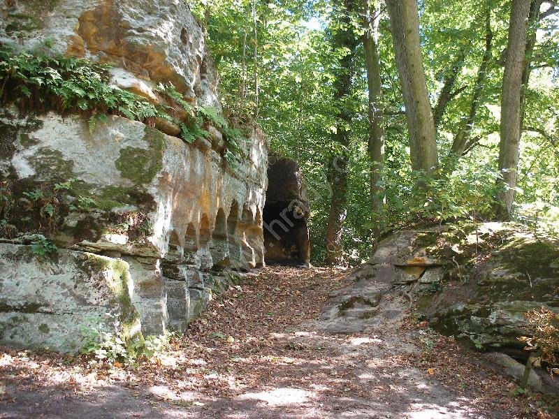 přírodní rezervace Vinořský park