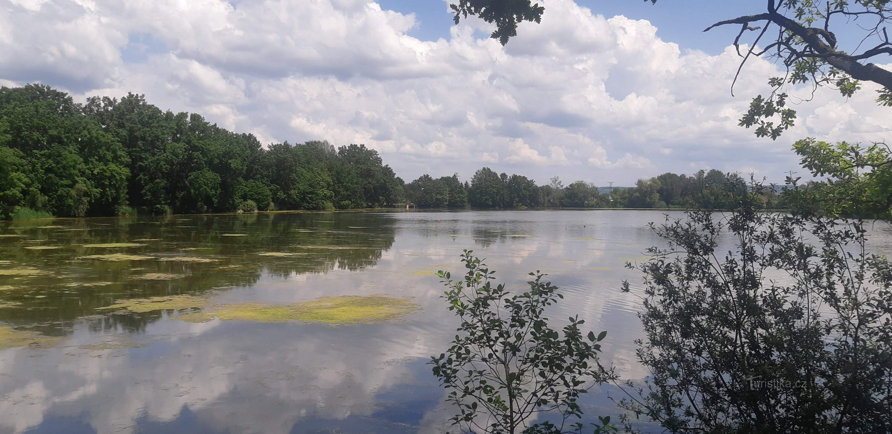 Nature reserve Vrbenské rybníky