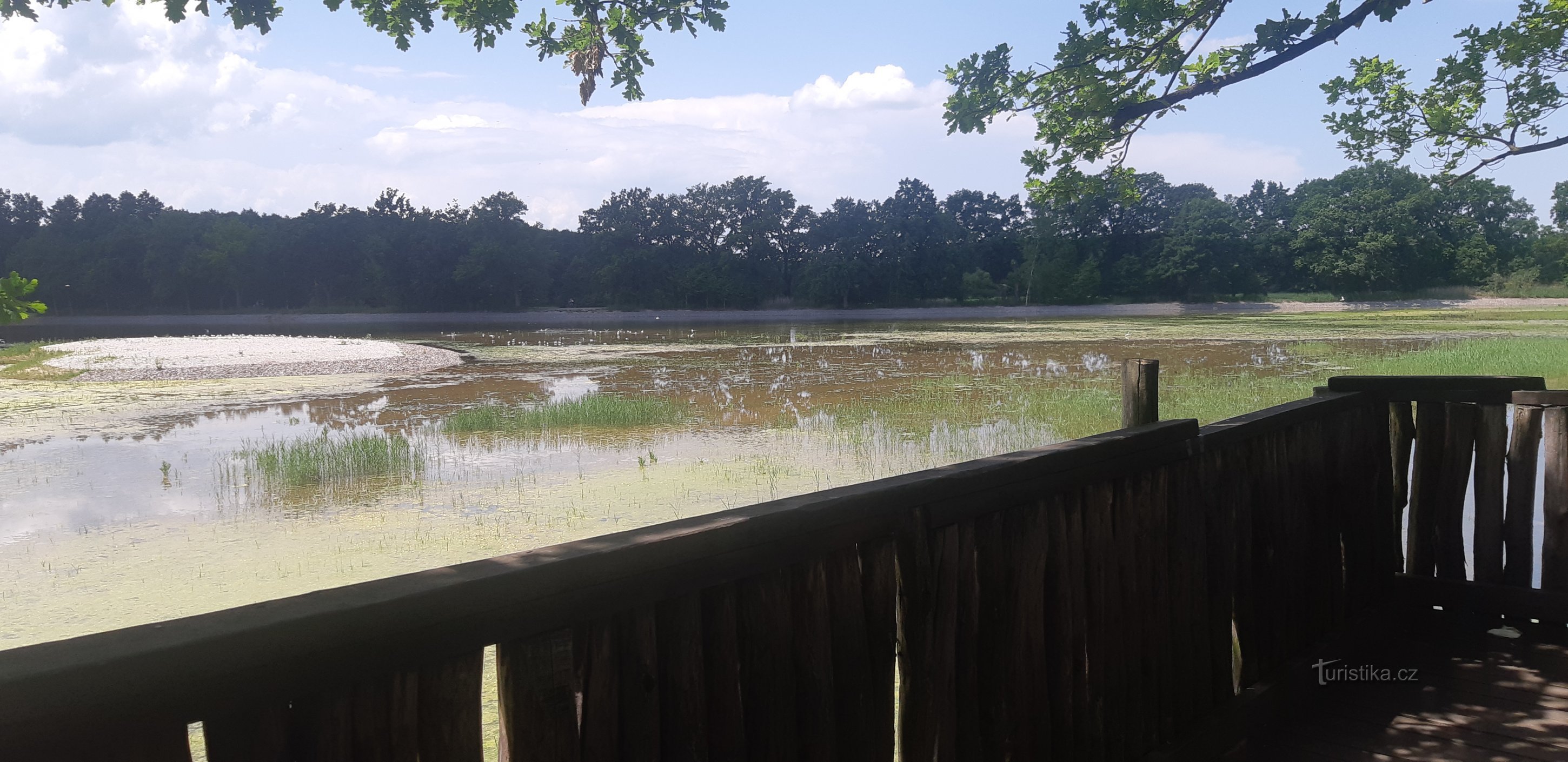 Naturreservat Vrbenské rybníky