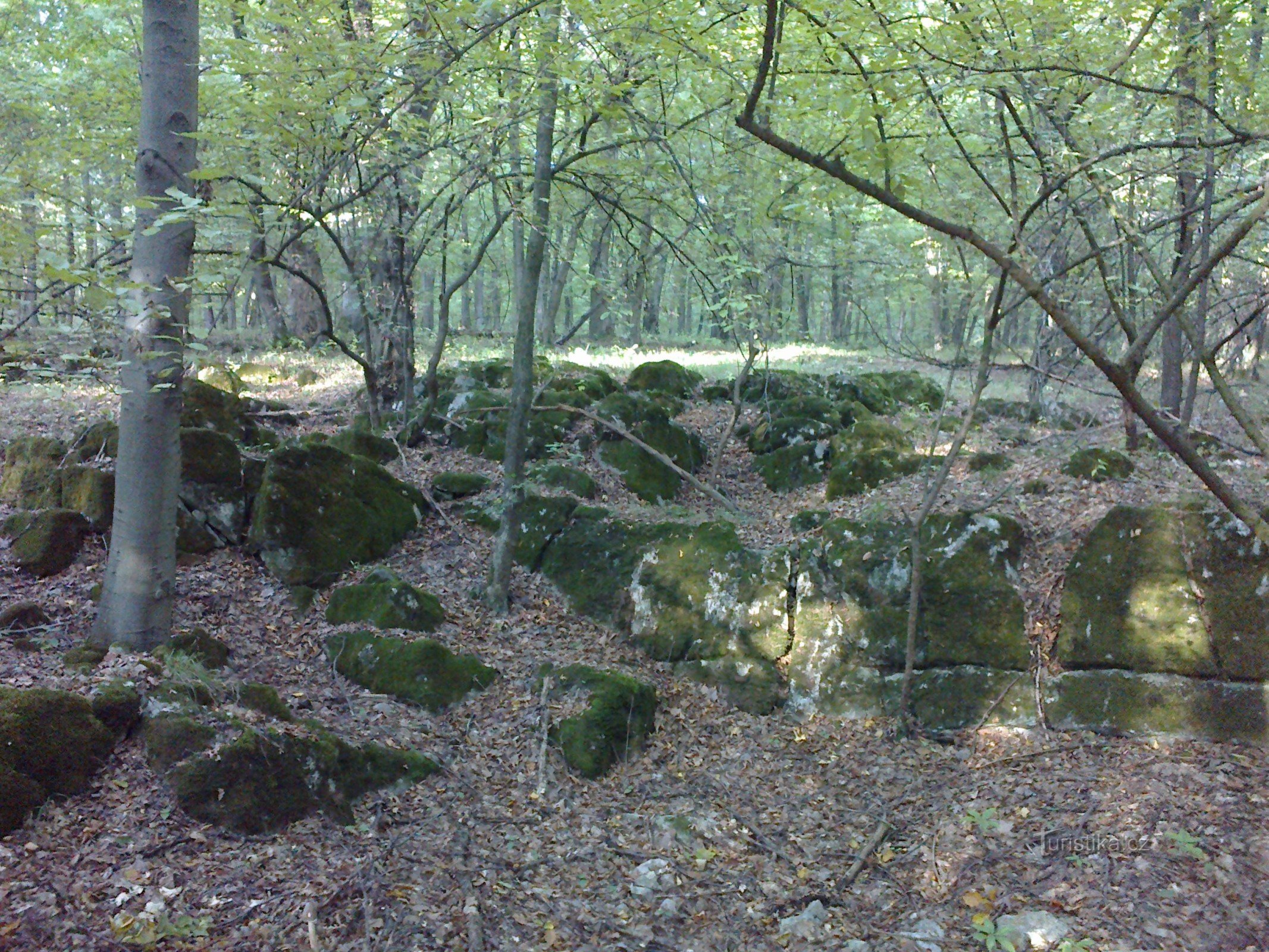 Zadní Hády nature reserve