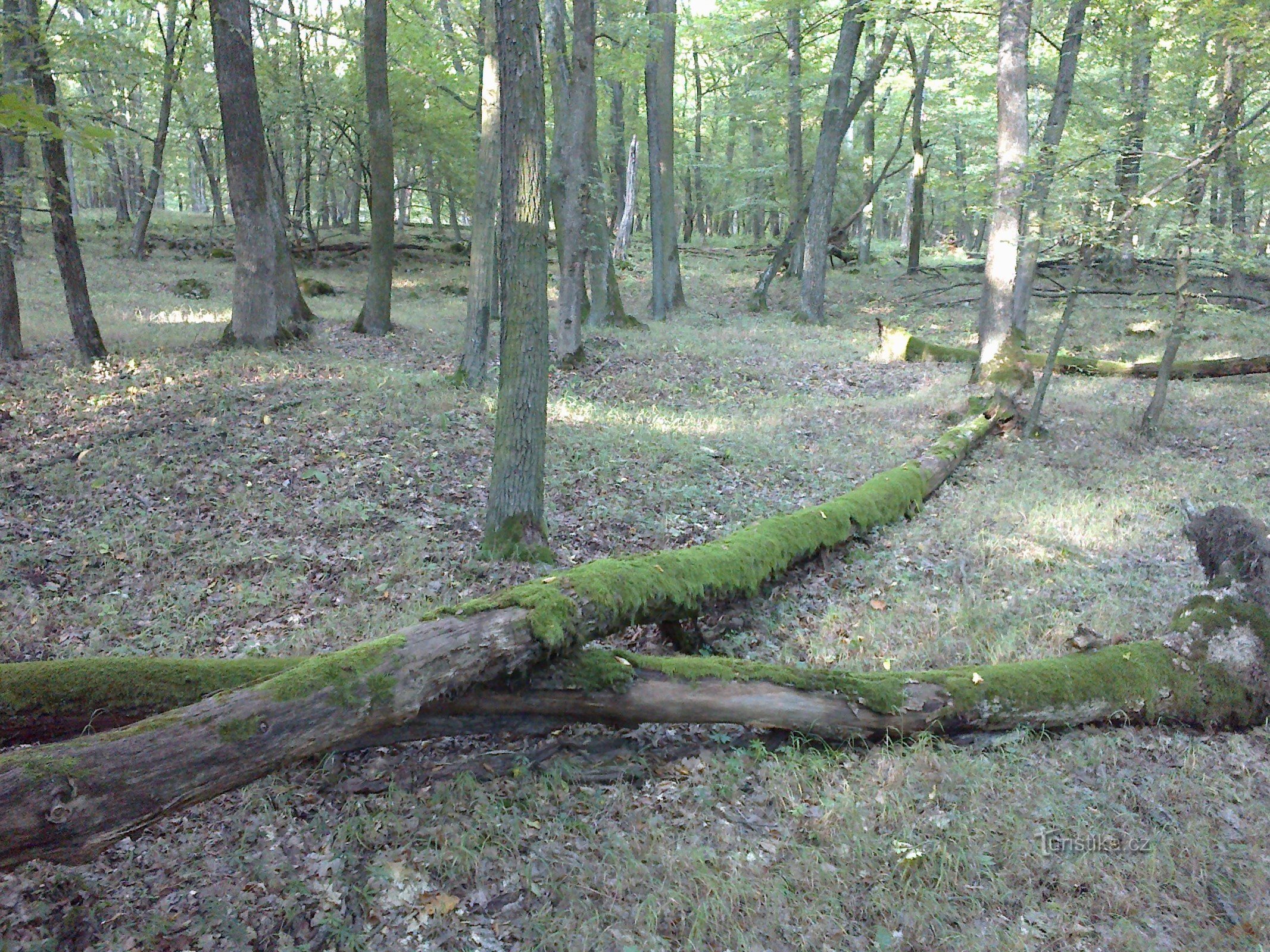 Naturschutzgebiet Zadní Hády