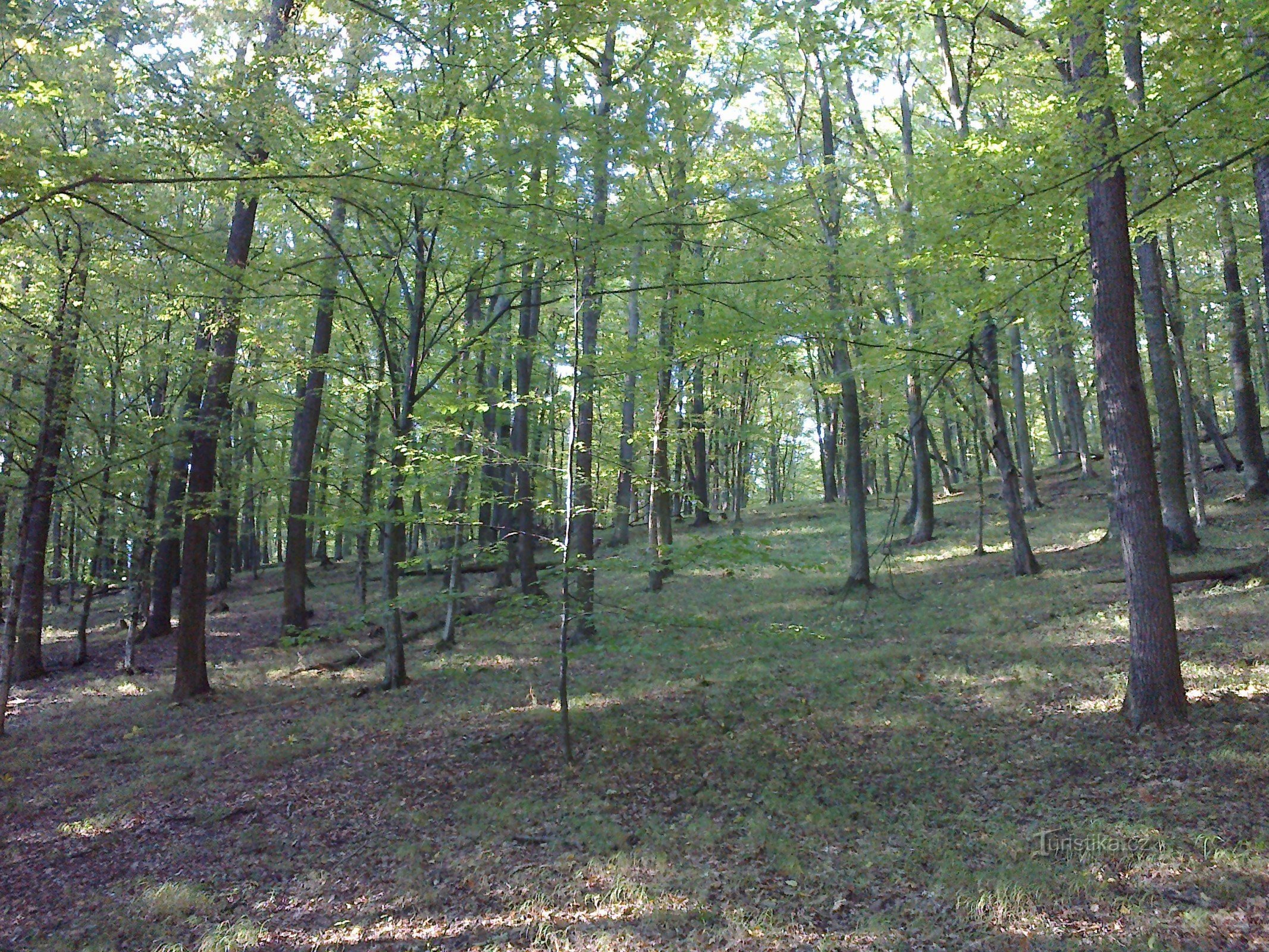 Naturschutzgebiet Zadní Hády