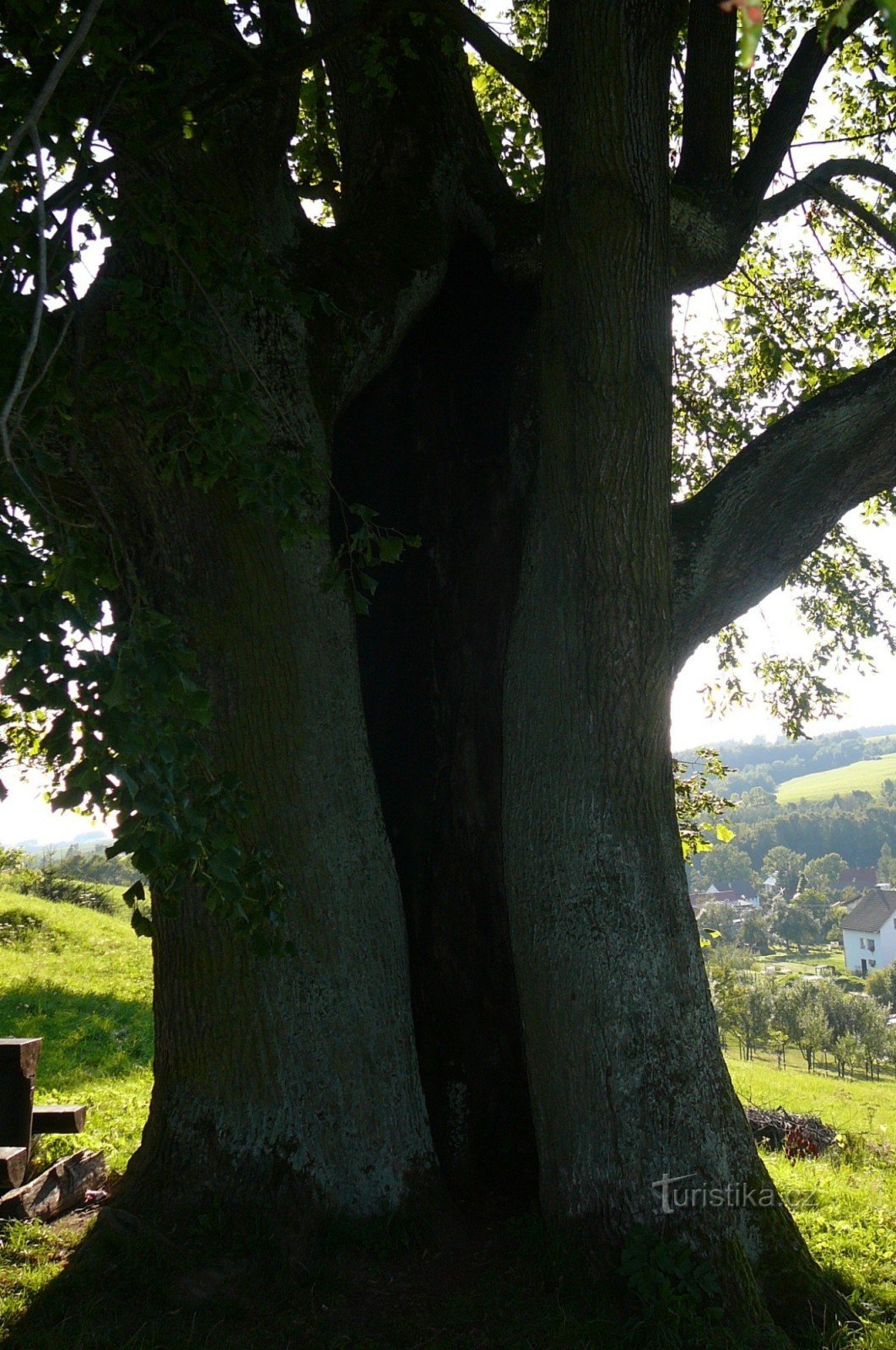 Ein natürliches Versteck