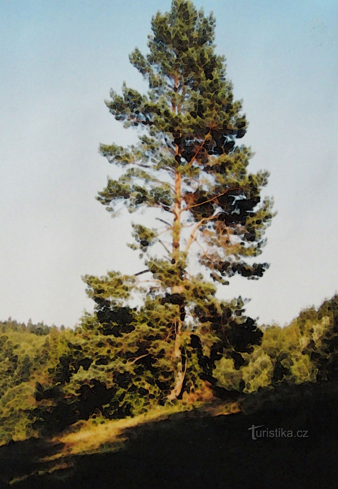 Belvedere naturala Plošciny (738 m)