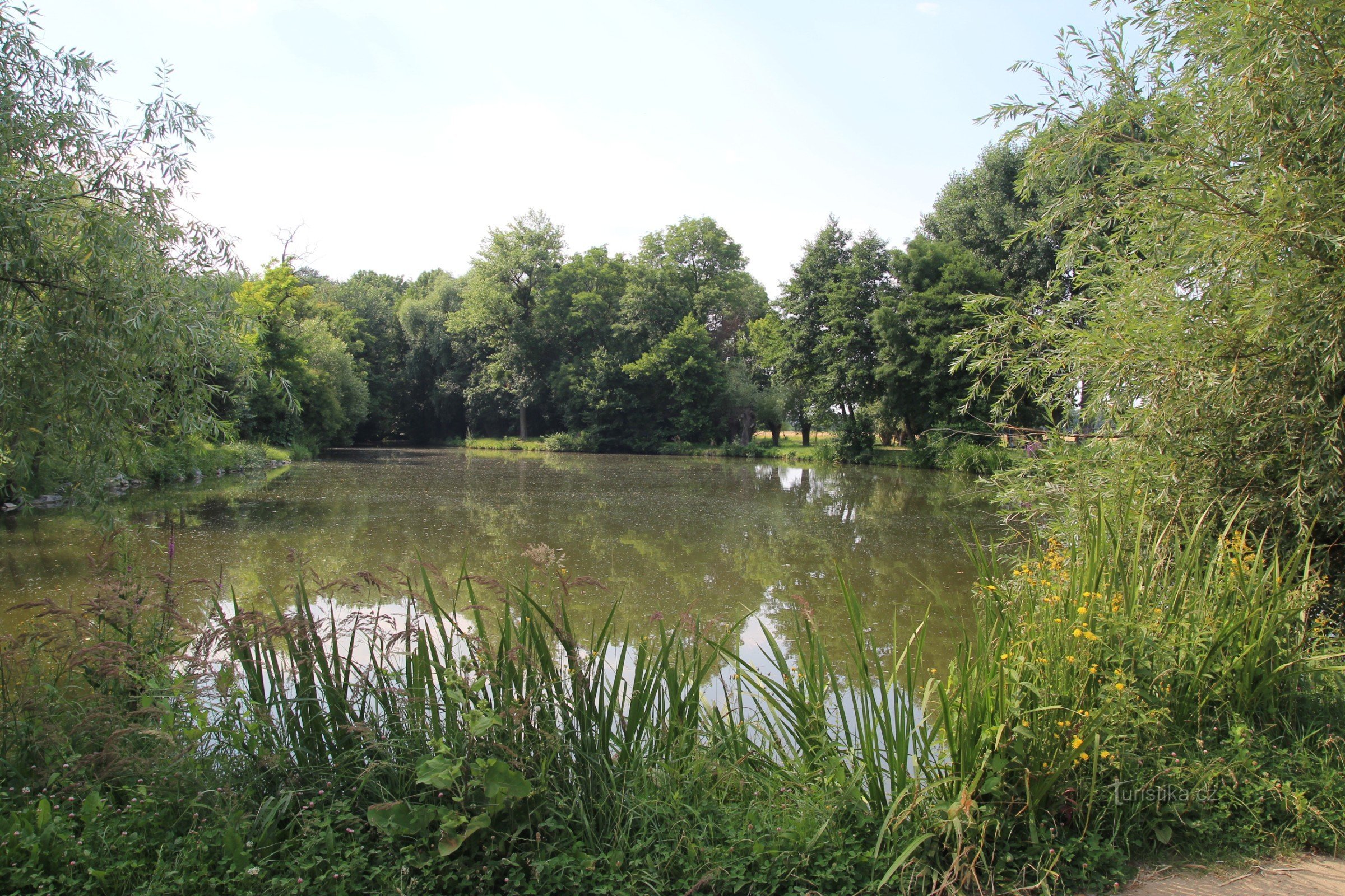 Přísnotice - Lhéta pond