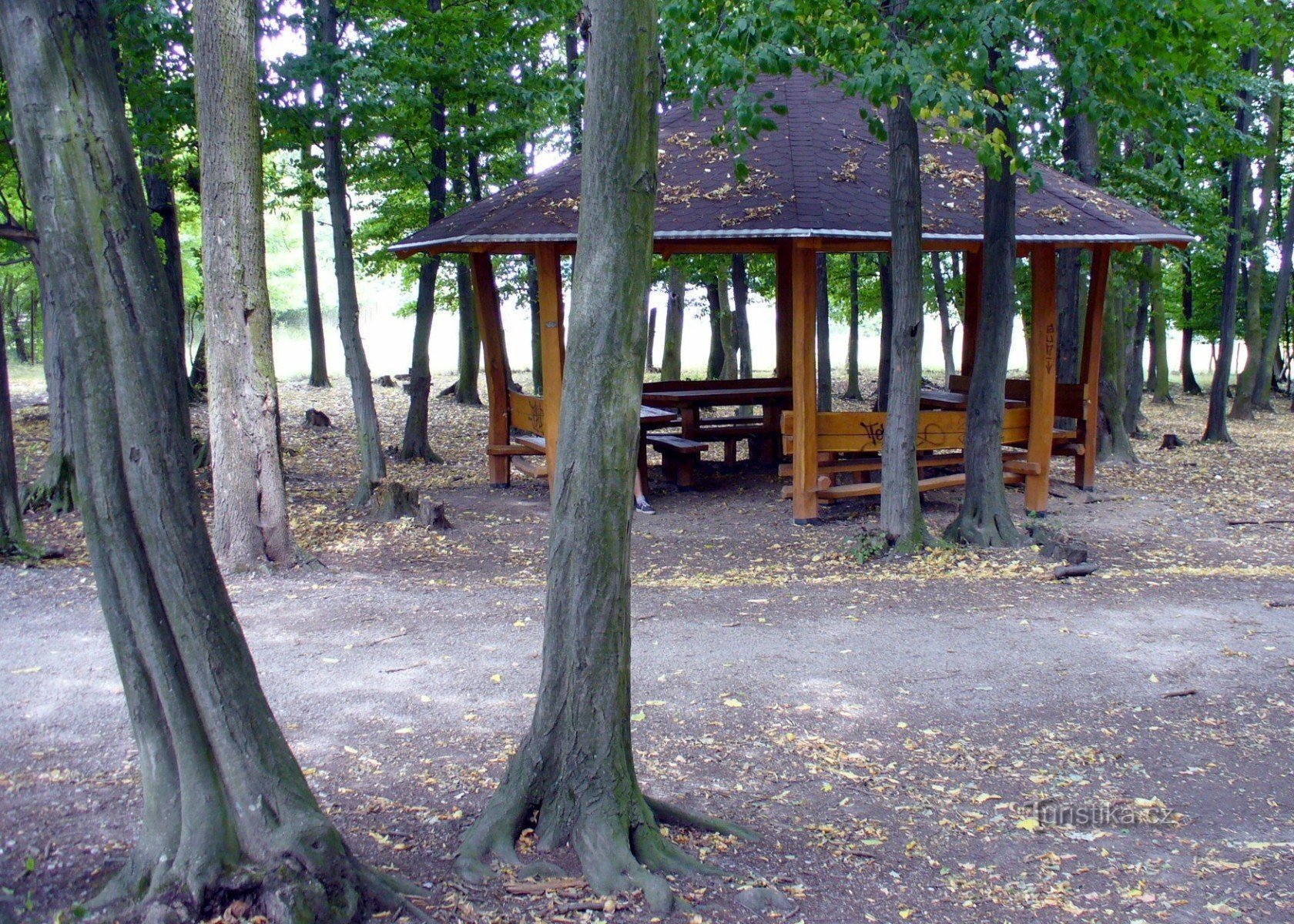 Shelter with wild boars