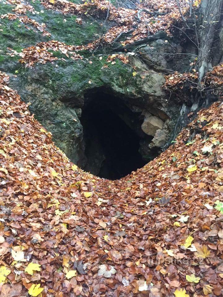 Πρόσβαση στη γκαλερί