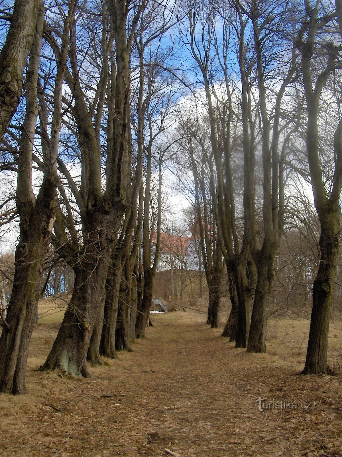 vicolo di accesso