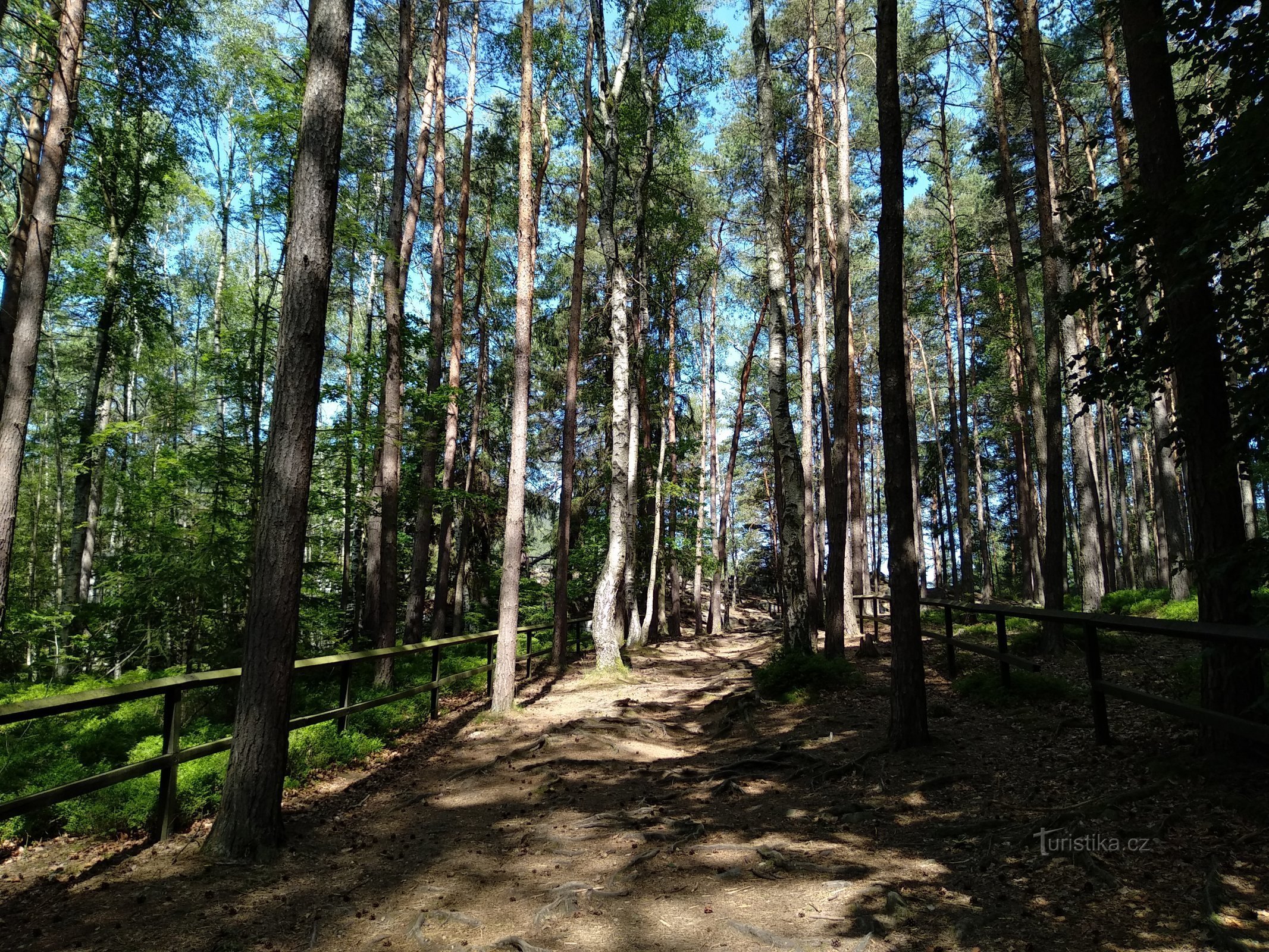 chemin d'accès au Mur du Diable