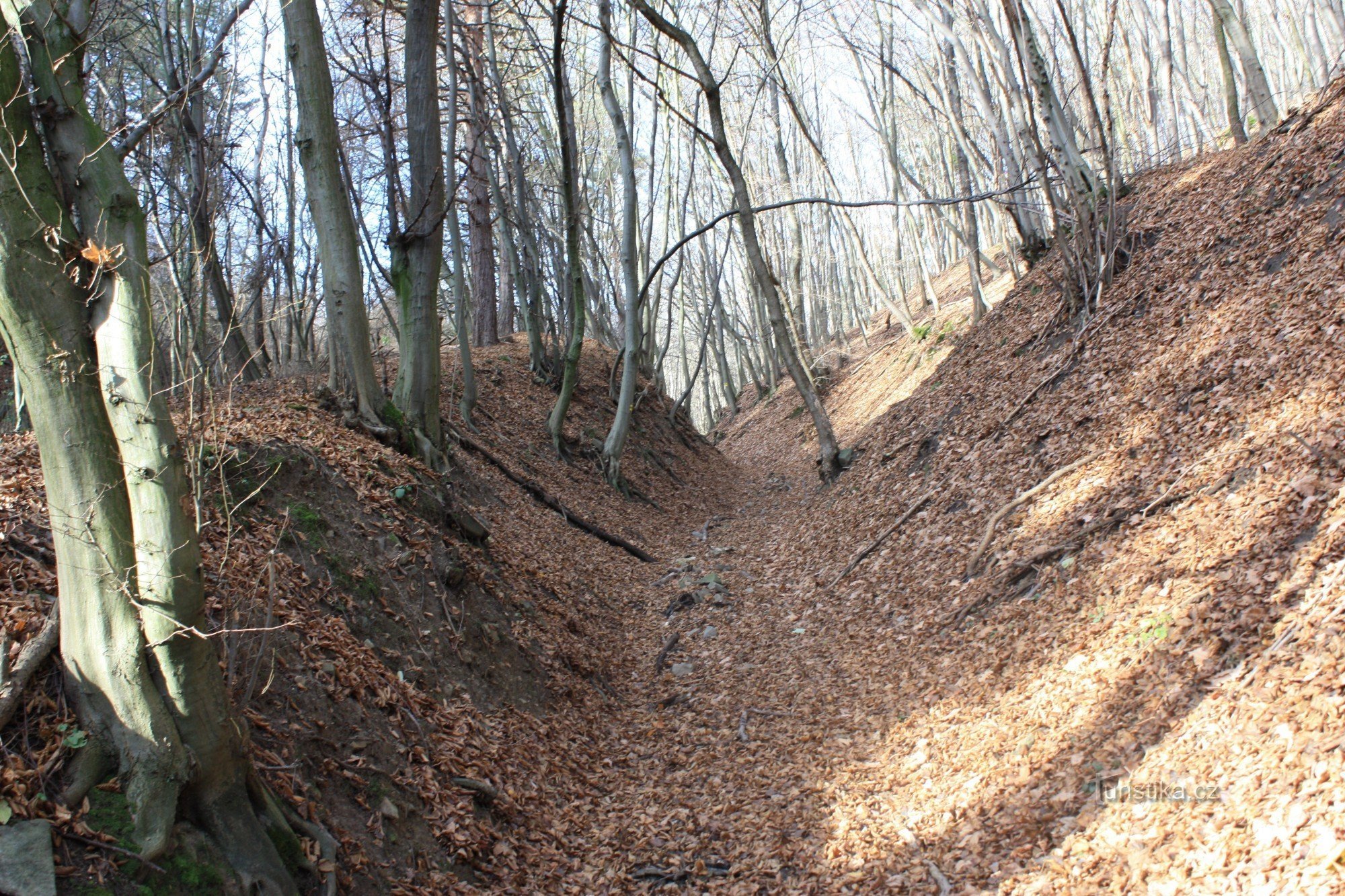 Strada di accesso al castello vicino al nucleo del castello