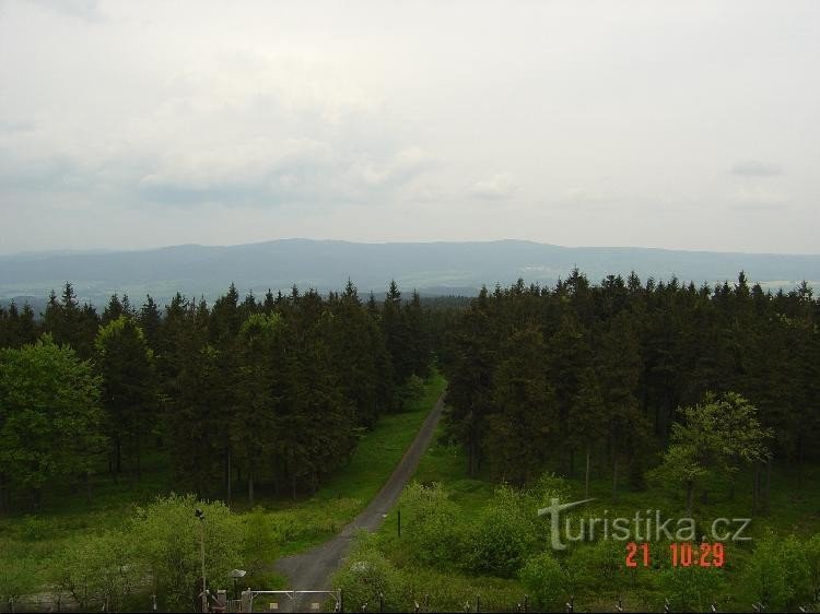 подъездная дорога: Славковский лес на горизонте