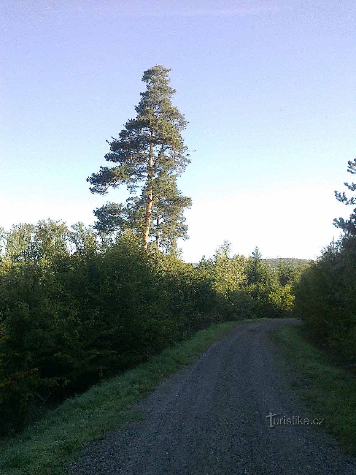 Tillfartsväg till utsiktsplatsen