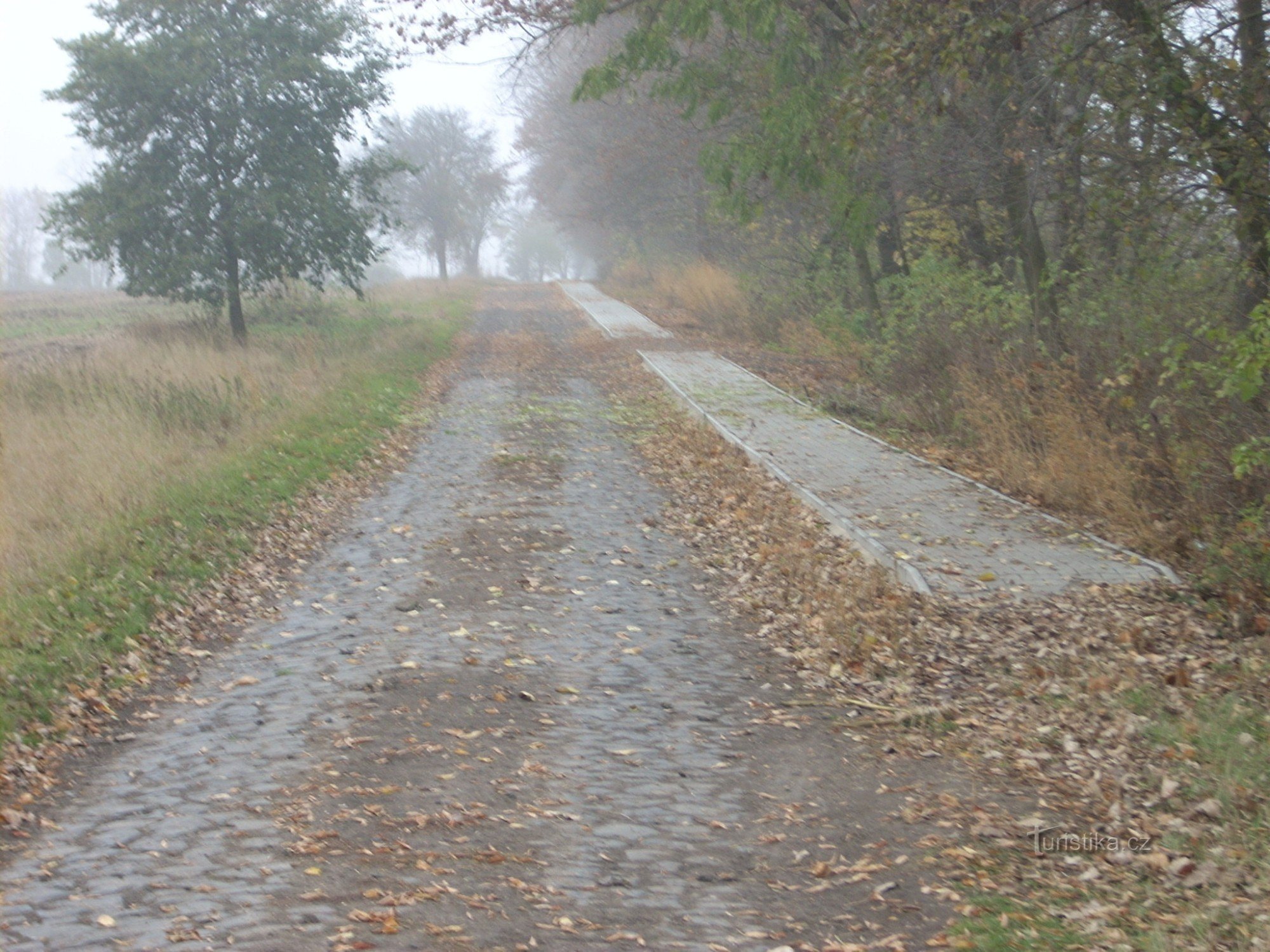 Route d'accès de la gare au village de Slatina