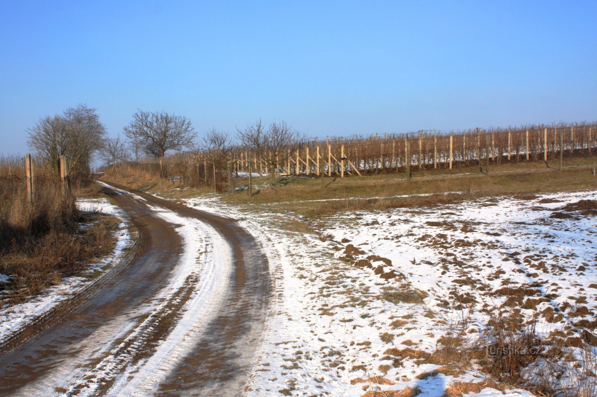 Toegangsweg vanuit Žabčice