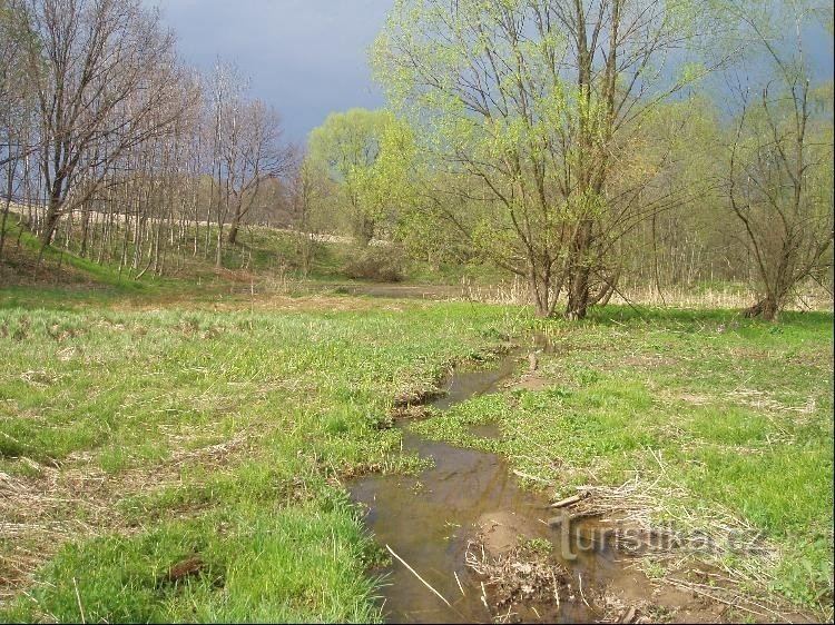 Nebenfluss des Teiches Hluboký