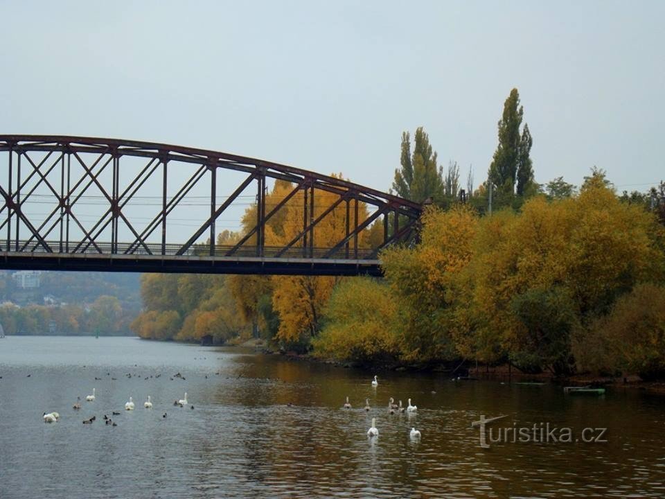 Ferry Císařská louka - Vytoň - Náplavka Smíchov