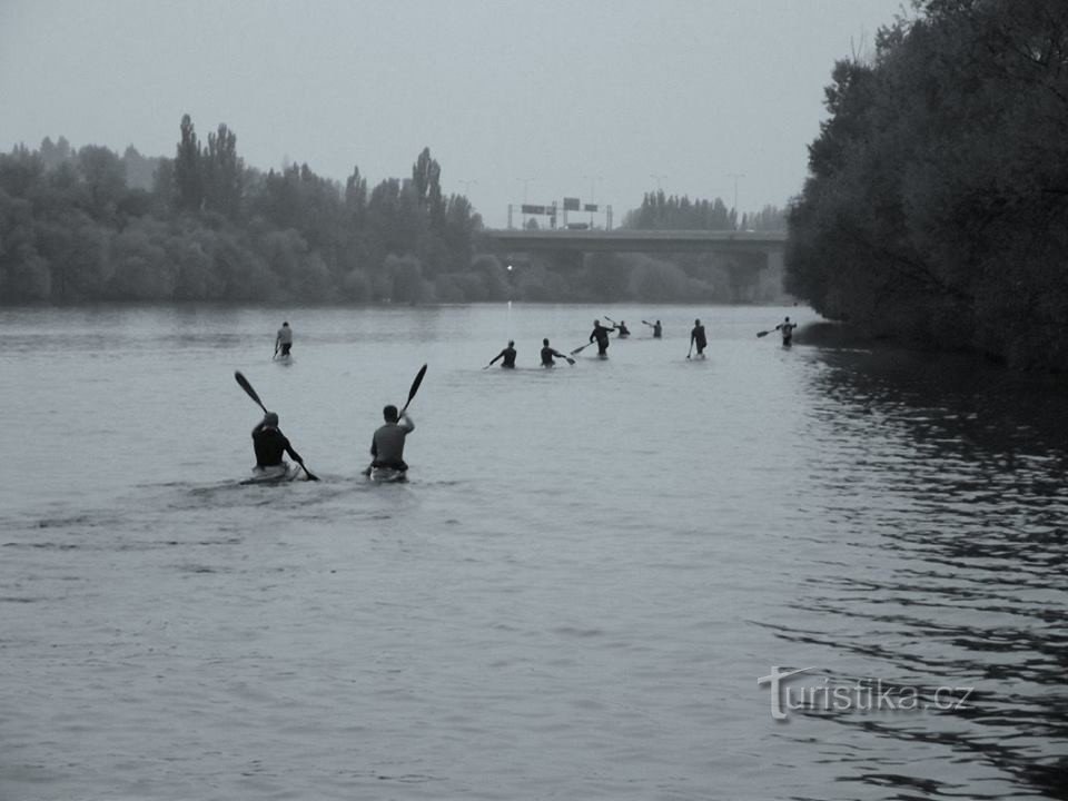 Ferry Lihovar - Veslarský ostrov