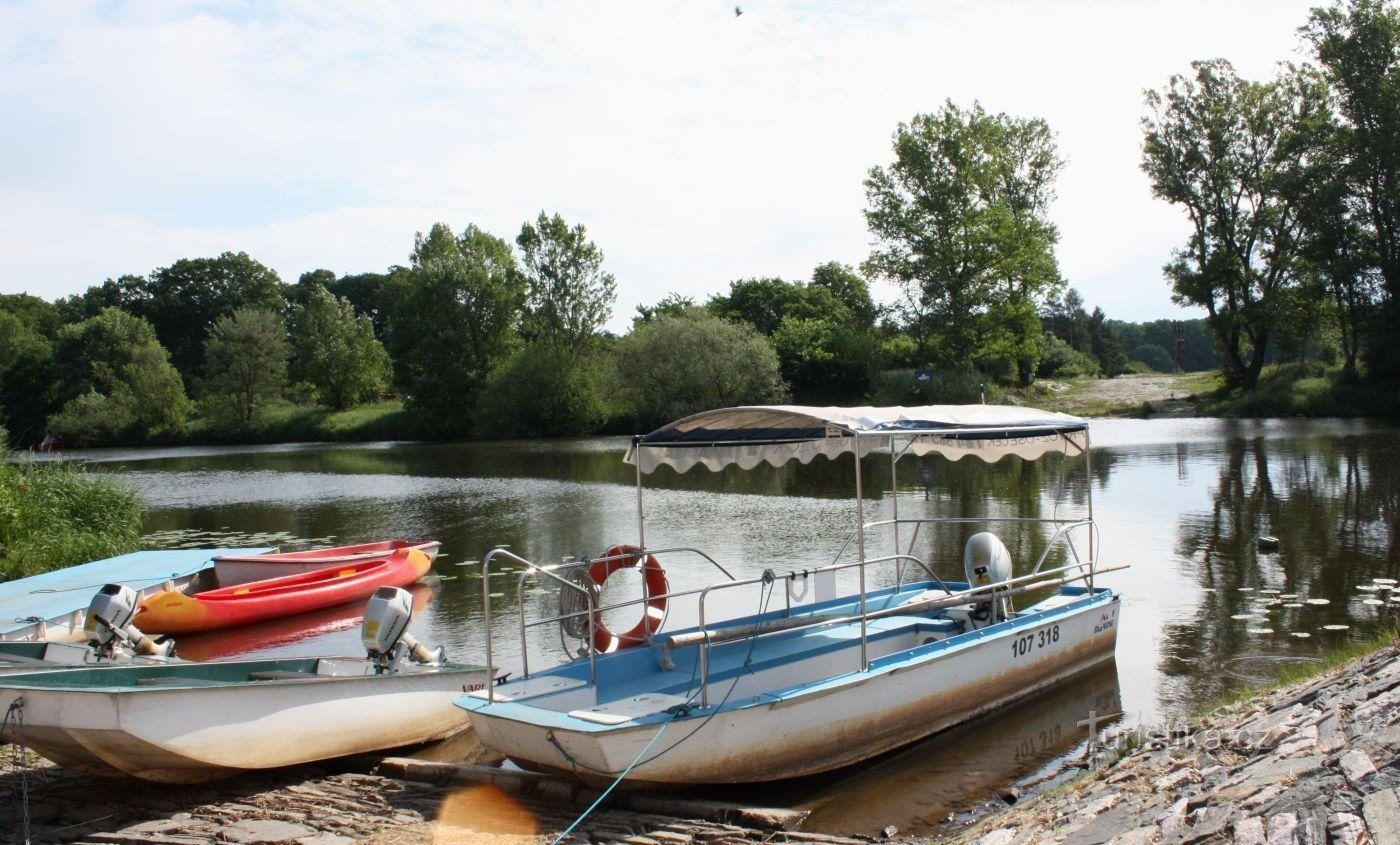 Oseček Ferry